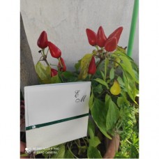 Προσκλητήριο Γάμου χειροποίητο με σατέν κορδέλα και μισή περλίτσα. Προσκλητήριο Γάμου χειροποίητο με σατέν κορδέλα και μισή περλίτσα.