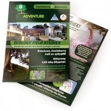 Flyers A4 διπλής όψεως